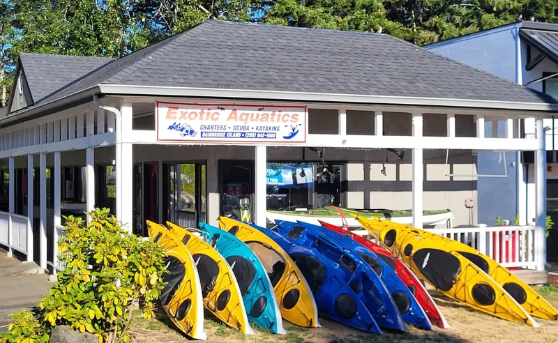 Façade d'un centre de plongée avec kayaks colorés devant l'entrée