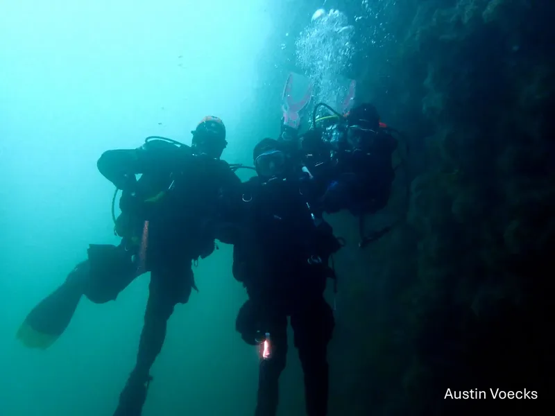 Plongeurs en immersion, équipés, près d'une paroi rocheuse sous-marine