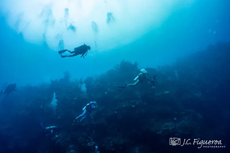 Trois plongeurs explorent un récif corallien dans une eau bleue