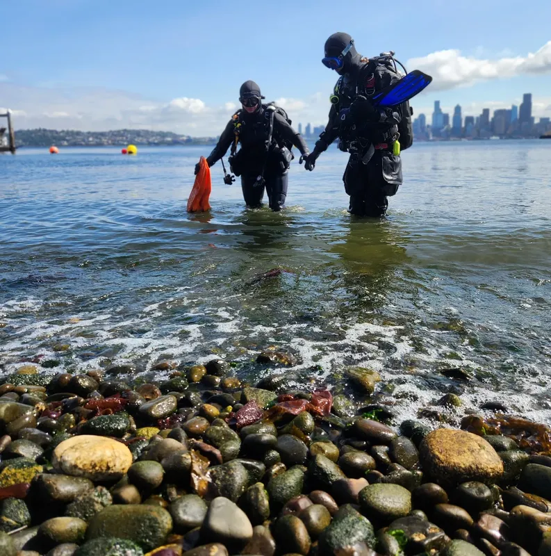 Deux plongeurs en combinaison sortent de l'eau sur une plage rocheuse