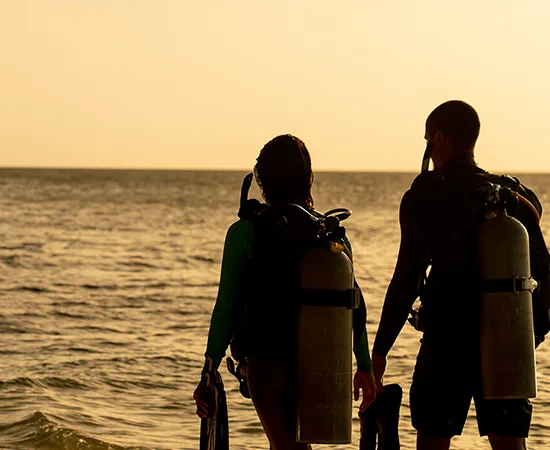 Deux plongeurs équipés regardent la mer au coucher du soleil