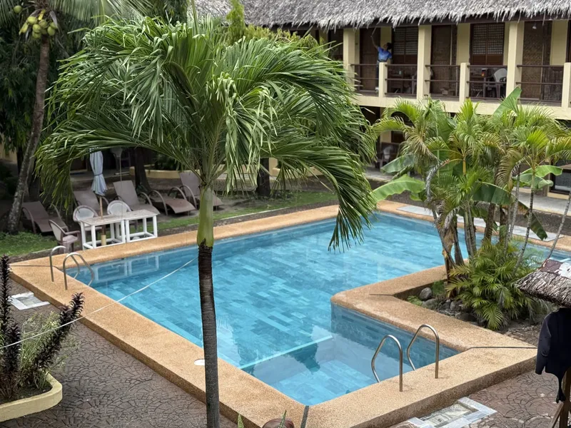 Piscine d'un centre de plongée avec des transats et végétation tropicale