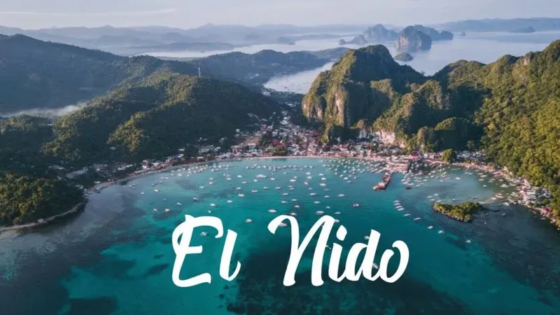 Vue aérienne d'une baie avec des bateaux et des montagnes verdoyantes