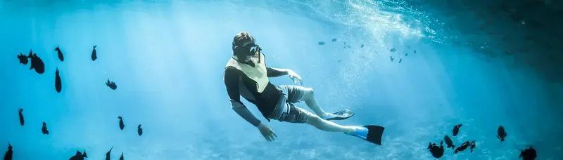Apnea : un plongeur en combinaison nage au milieu de poissons