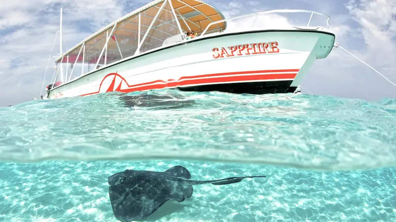 Raie manta nageant sous un bateau de plongée dans une eau turquoise claire