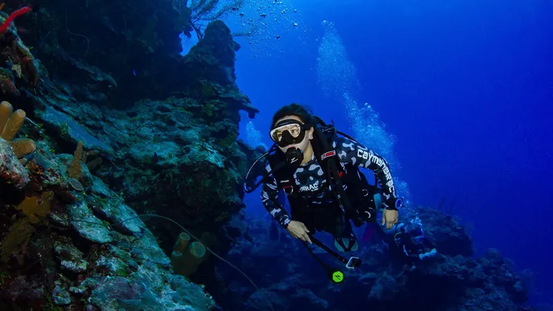 Plongeur explore un récif corallien bleu et rocheux en toute sécurité