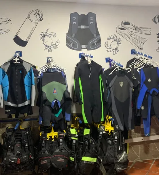 Equipement de plongée complet suspendu dans un local intérieur bien rangé
