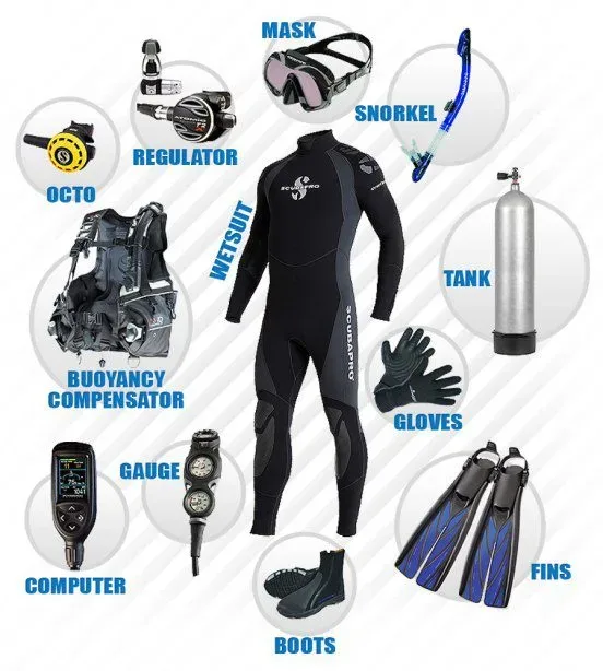Équipement complet de plongée : combinaison, masque, palmes, détendeur, ordinateur