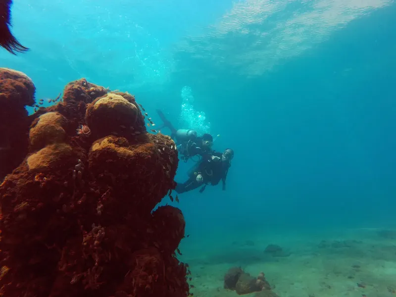 Deux plongeurs explorent un récif corallien en eau turquoise claire