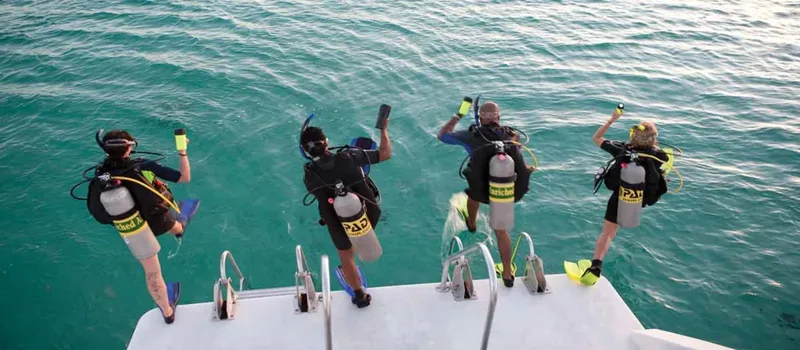 Plongeurs équipés se préparent à entrer dans l'eau depuis un bateau