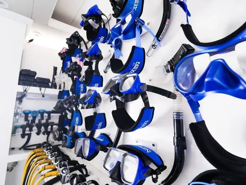 Rangée de masques et de snorkels bleus accrochés au mur