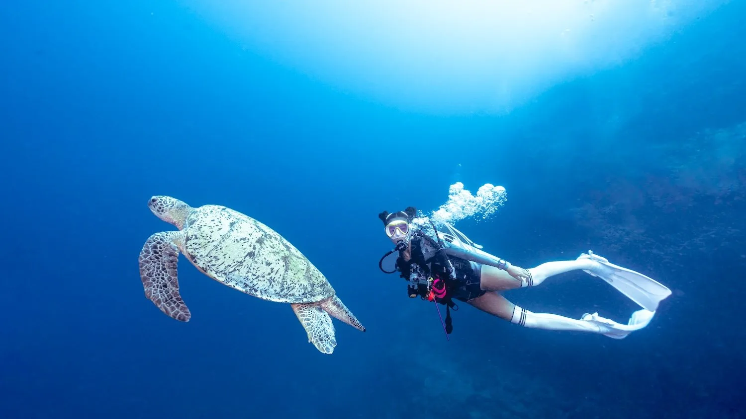 Boracay Fisheye Divers