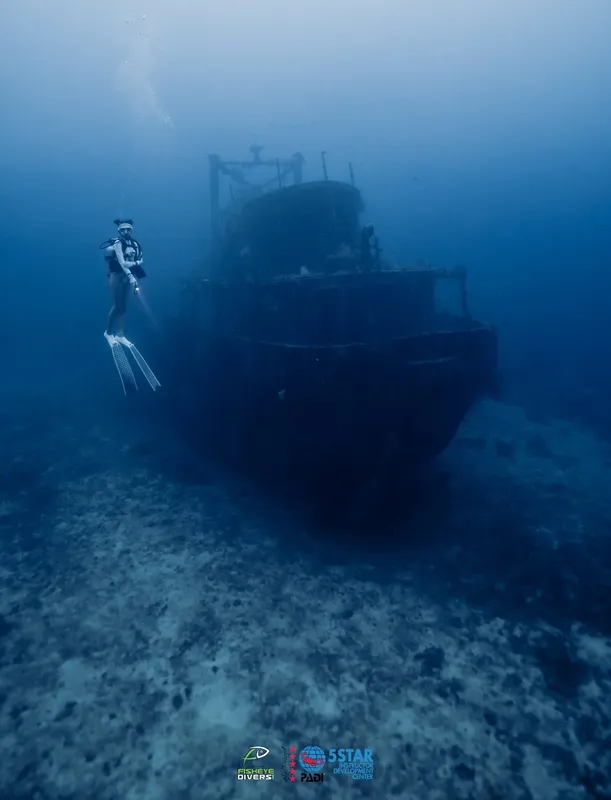 Plongeuse explorant l'épave d'un bateau coulé en milieu marin