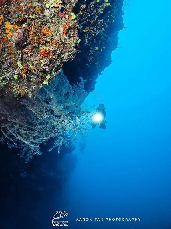 Plongeur solitaire explorant un récif corallien sous l'eau bleu profond