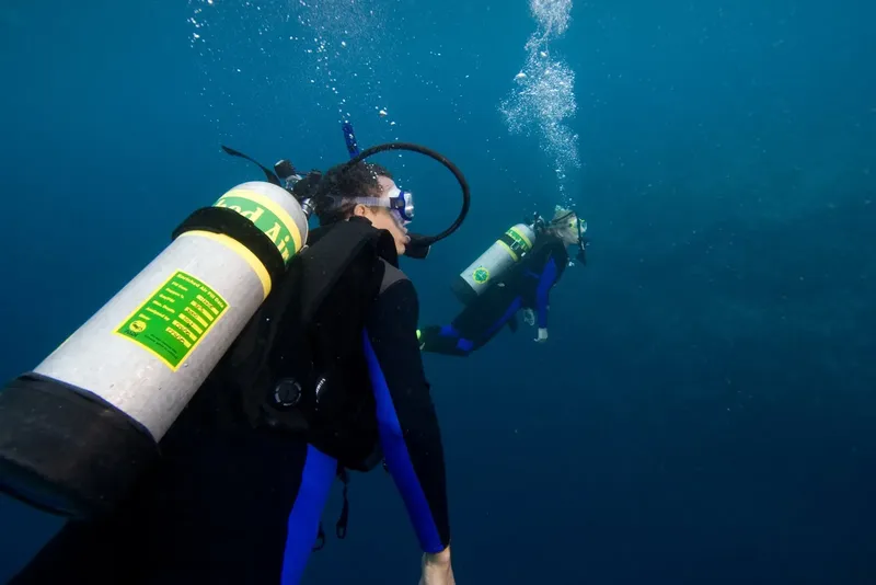 Deux plongeurs explorent les profondeurs bleues de l'océan avec leur équipement