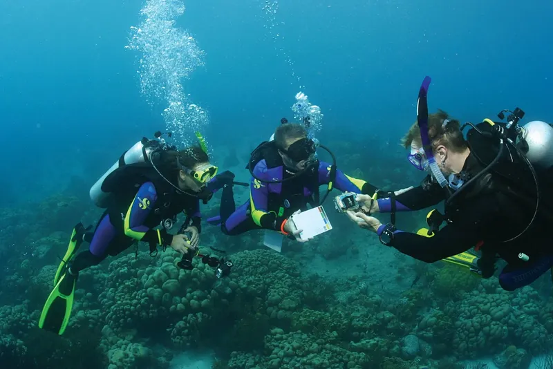 Trois plongeurs interagissent sous l'eau avec un appareil photo et un carnet