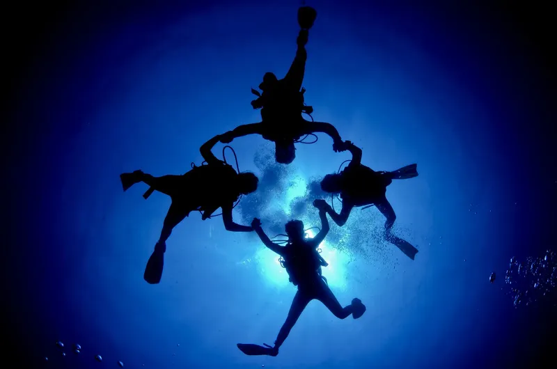 Quatre plongeurs en cercle, silhouettés contre la lumière du soleil