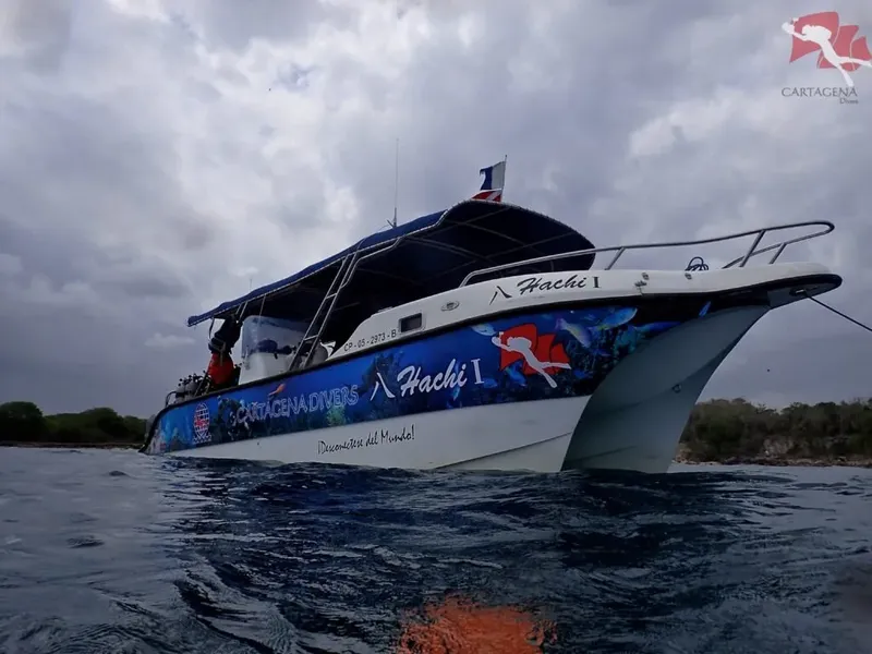 Bateau de plongée bleu et blanc sur une mer agitée sous ciel nuageux
