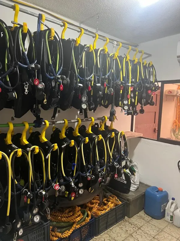 Rangées de détendeurs et gilets de plongée accrochés au mur