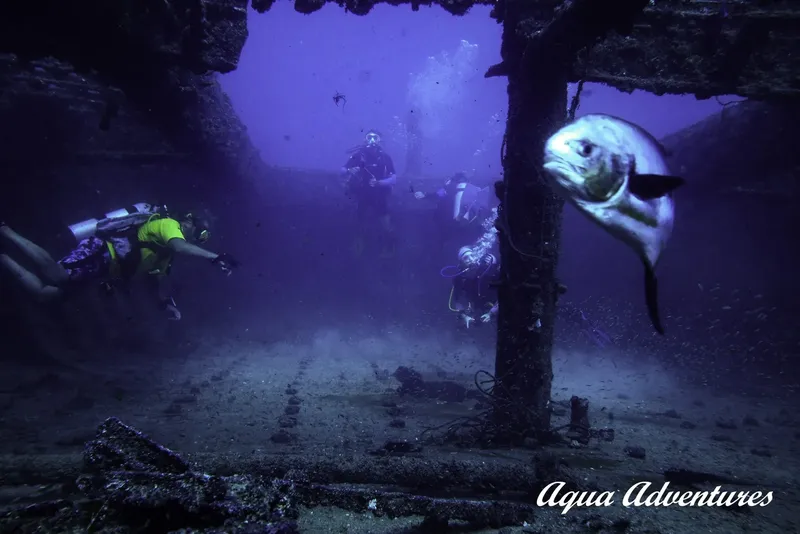 Plongeurs et poisson près d'une épave sous-marine, lumière bleutée