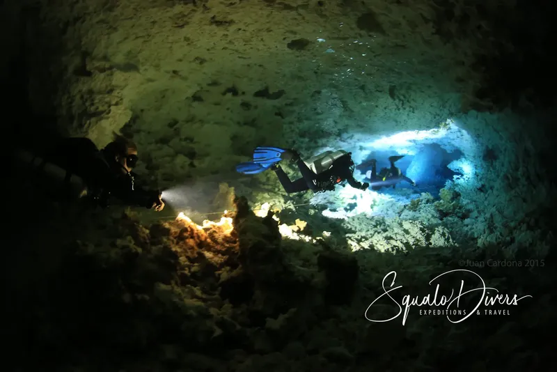 Plongeurs explorent une grotte sous-marine éclairée par des lampes torche