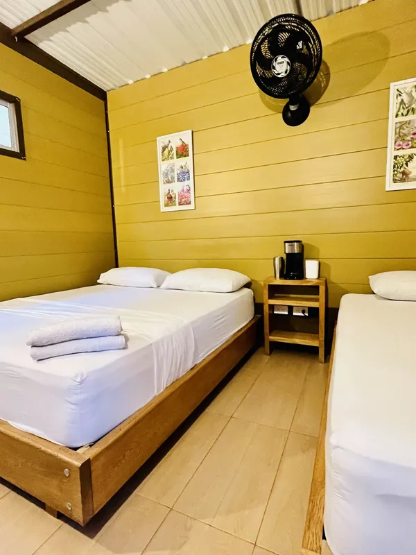 Chambre avec deux lits simples, ventilateur au plafond, murs jaunes