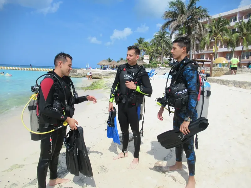 Trois plongeurs en combinaison discutent sur une plage ensoleillée