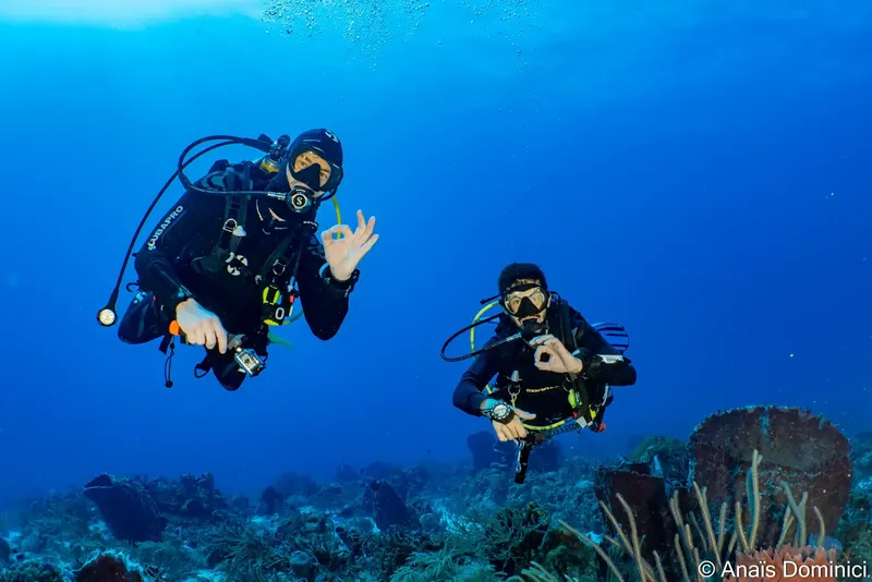 Deux plongeurs souriants font le signe OK dans l'eau bleue