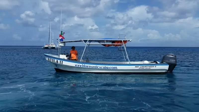 Bateau de plongée en mer avec un pilote et des voiliers au loin