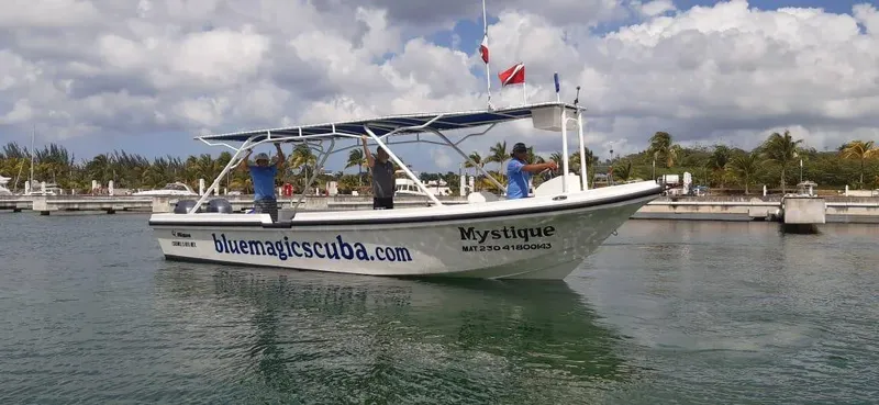 Bateau de plongée blanc avec des personnes à bord dans une marina