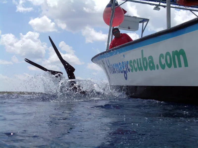 Plongeur s'apprêtant à entrer dans l'eau depuis un bateau bleu