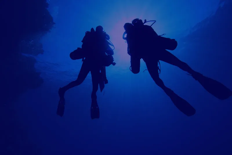 Deux plongeurs évoluent dans une eau bleue, vus d'en bas