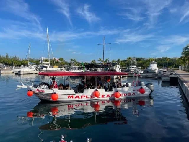 Bateau de plongée amarré dans un port ensoleillé avec des passagers