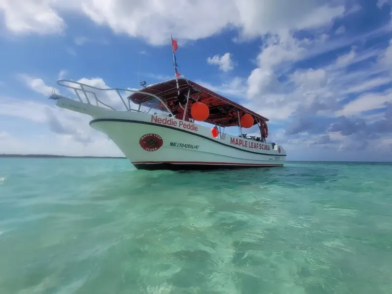 Bateau de plongée blanc et rouge sur une eau turquoise claire