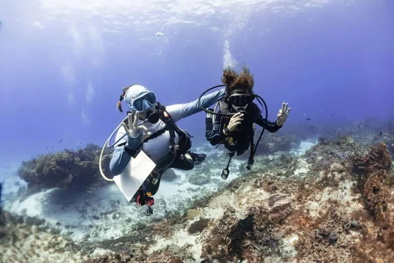 Deux plongeurs souriants nagent et font des signes sous l'eau
