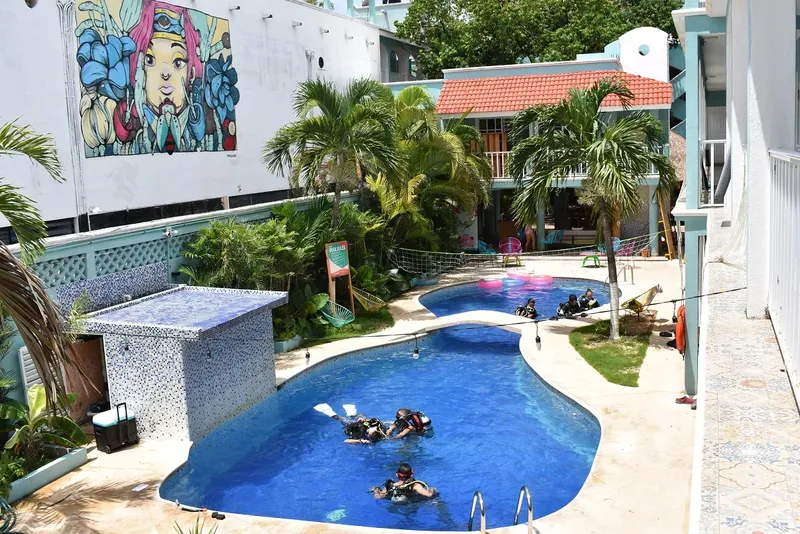 Plongeurs s'entraînent dans une piscine avec du matériel de plongée