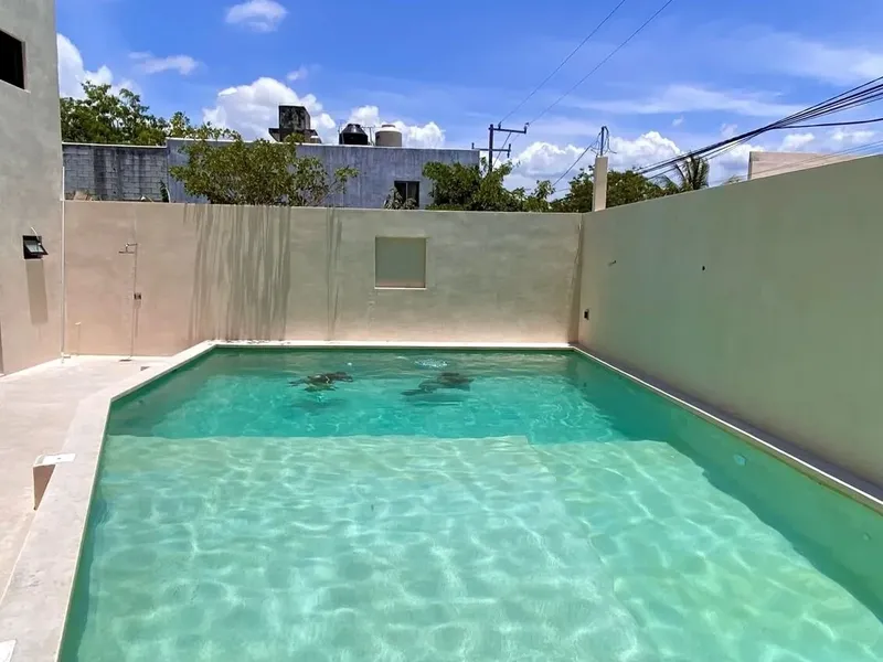Piscine turquoise avec des raies manta nageant dans l'eau claire