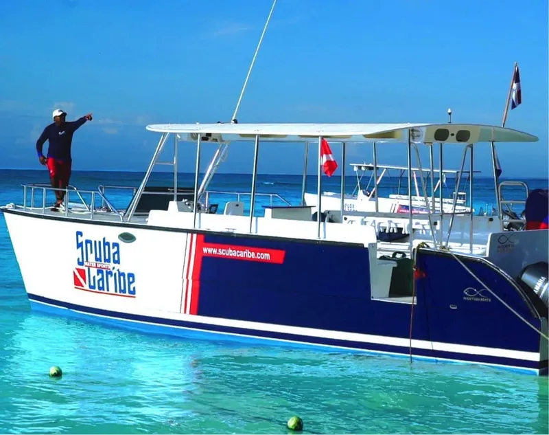 Bateau de plongée bleu et blanc avec une personne pointant vers l'horizon