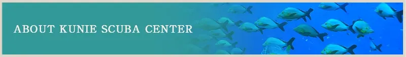 Banc de poissons tropicaux nageant dans une eau turquoise claire