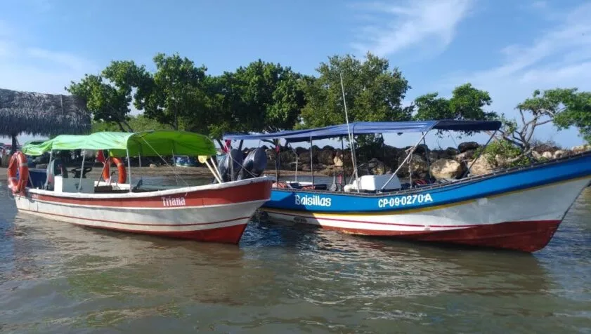 Deux bateaux de pêche colorés amarrés près d'une côte verdoyante