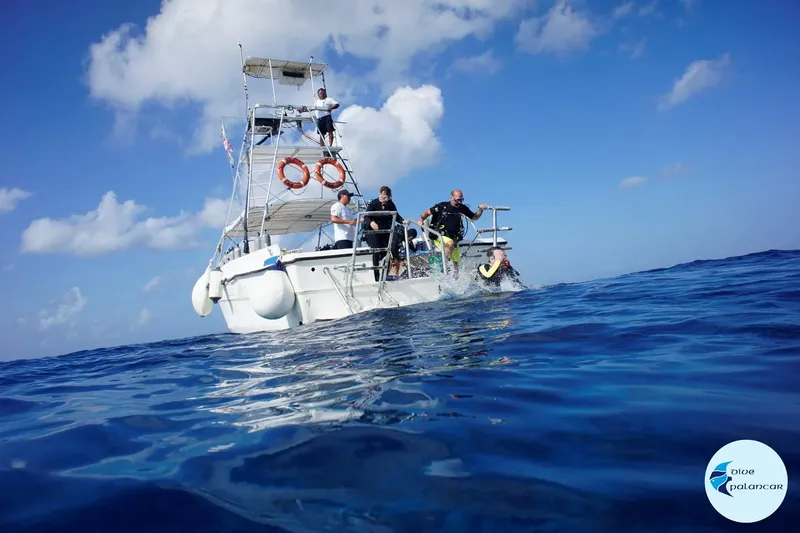 Plongée : des personnes équipées montent à bord d'un bateau blanc