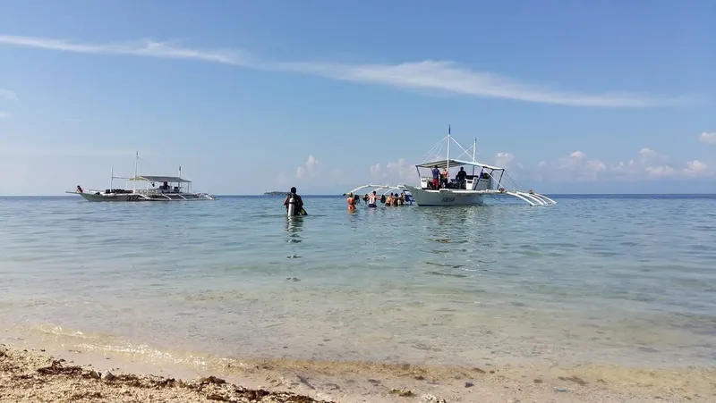 Plongée : des personnes se préparent à monter à bord de bateaux