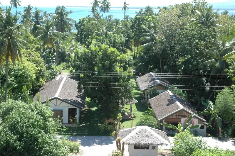 Maisons avec toits de chaume entourées de végétation tropicale luxuriante