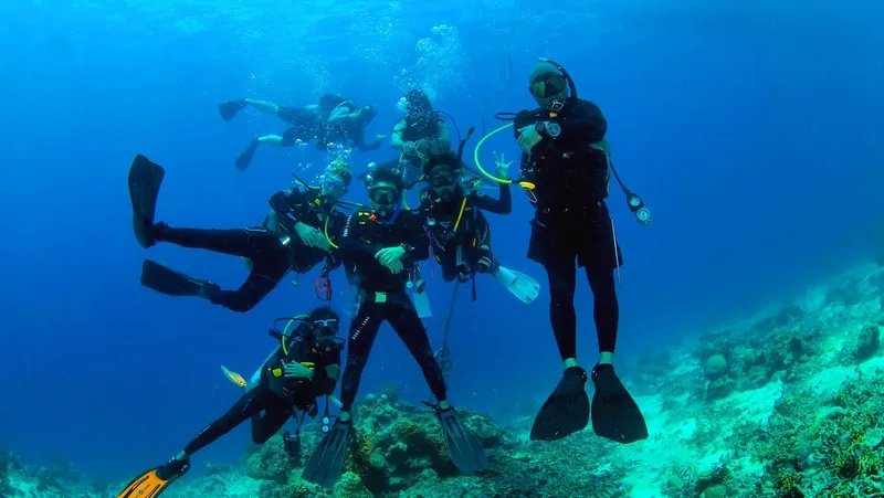 Groupe de plongeurs souriants en combinaison, flottant au-dessus d'un récif corallien