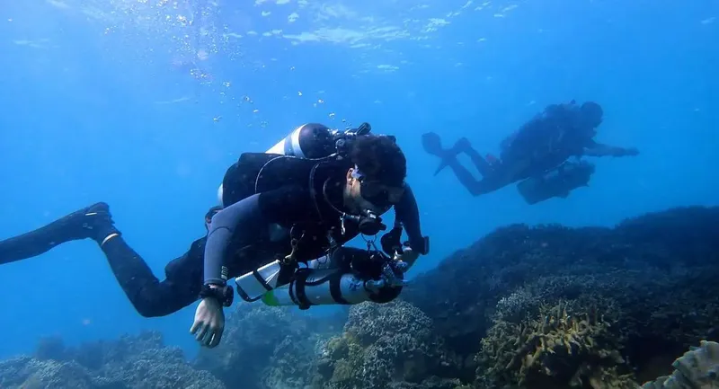 Deux plongeurs explorent un récifal corallien en eau bleue claire