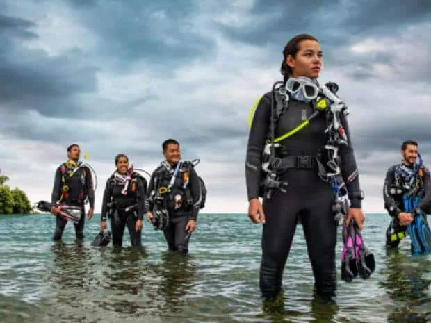 Groupe de plongeurs en combinaison, équipés, marchant dans l'eau peu profonde