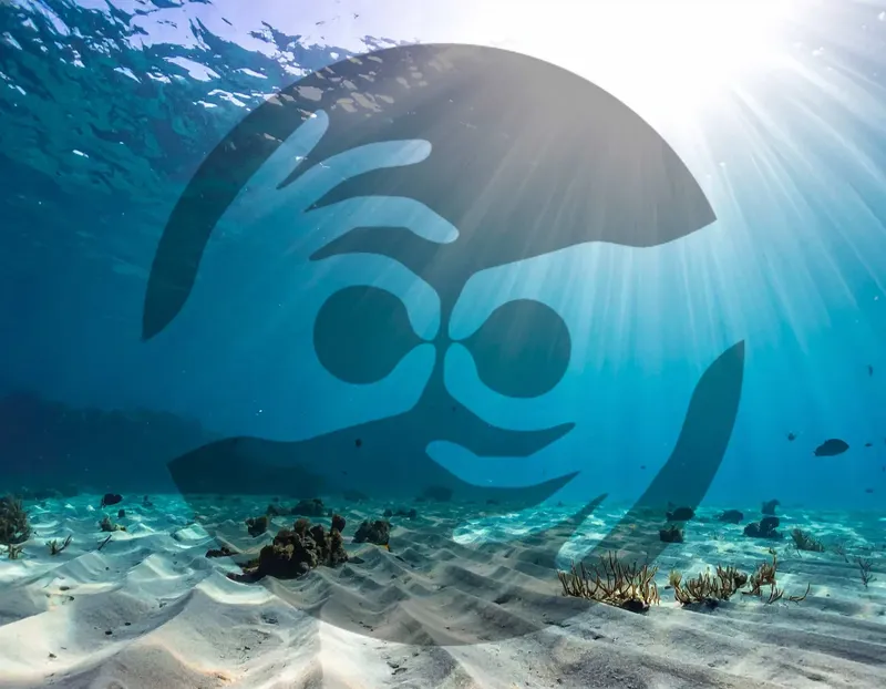 Raies manta évoluent gracieusement dans un environnement sous-marin lumineux et clair