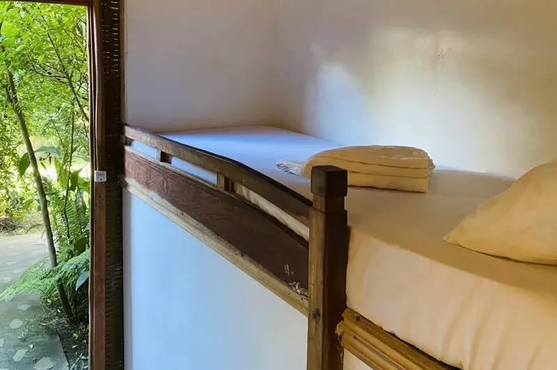 Lit superposé en bois dans une chambre simple avec vue sur la végétation