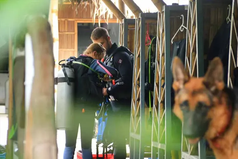 Préparation d'un plongeur avec assistance, un chien observe la scène