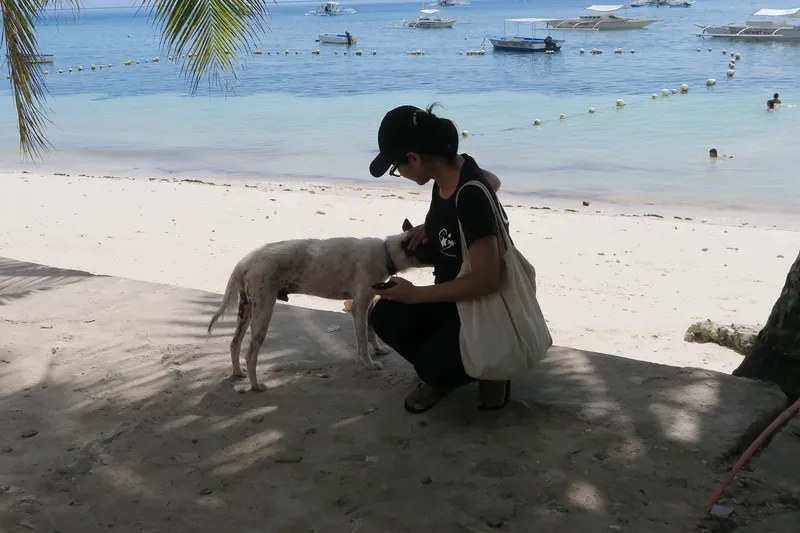Une femme s'accroupit pour caresser un chien sur une plage ensoleillée